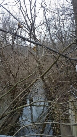 Lot 30 Manchester Ave, Batavia, IL 60510 - photo 5