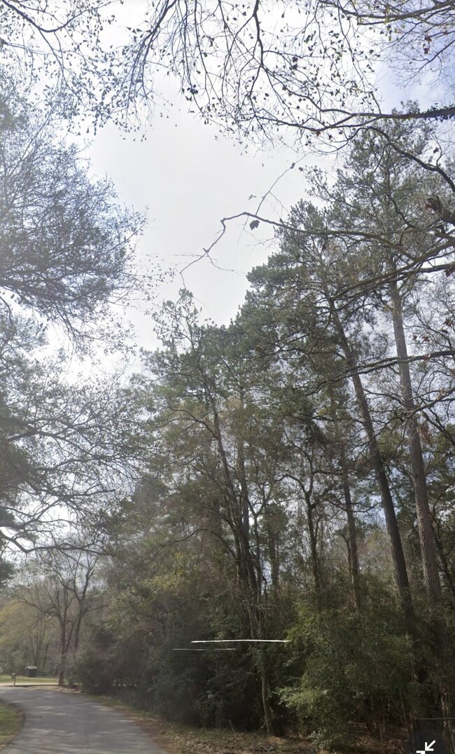 0 Cardinal unit 62109229, Hockley, TX 77447 - photo 5