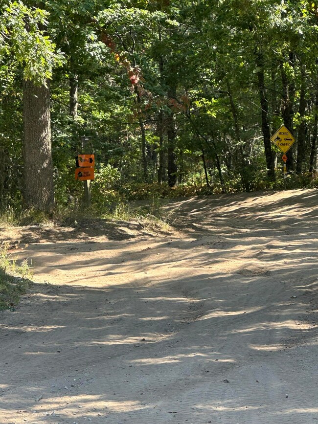 PAR B 16th St, Baldwin, MI 49304 - photo 6