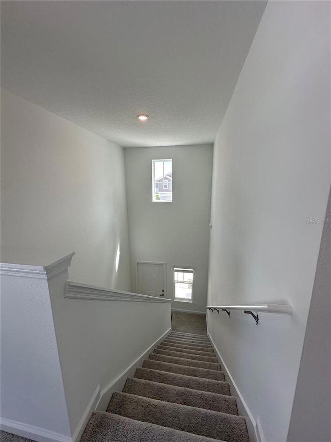 5695 Ficus Aurea St, Kissimmee, FL 34758 - photo 5