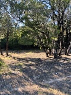 18195 Wildwood Dr, Whitney, TX 76692 - photo 3