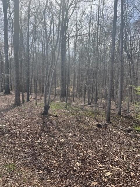 263 Ethel Ln, Statesville, NC 28625 - photo 4