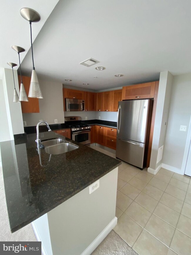 Midtown Alexandria Station Condominiums unit 911, Alexandria, VA 22303 - photo 3