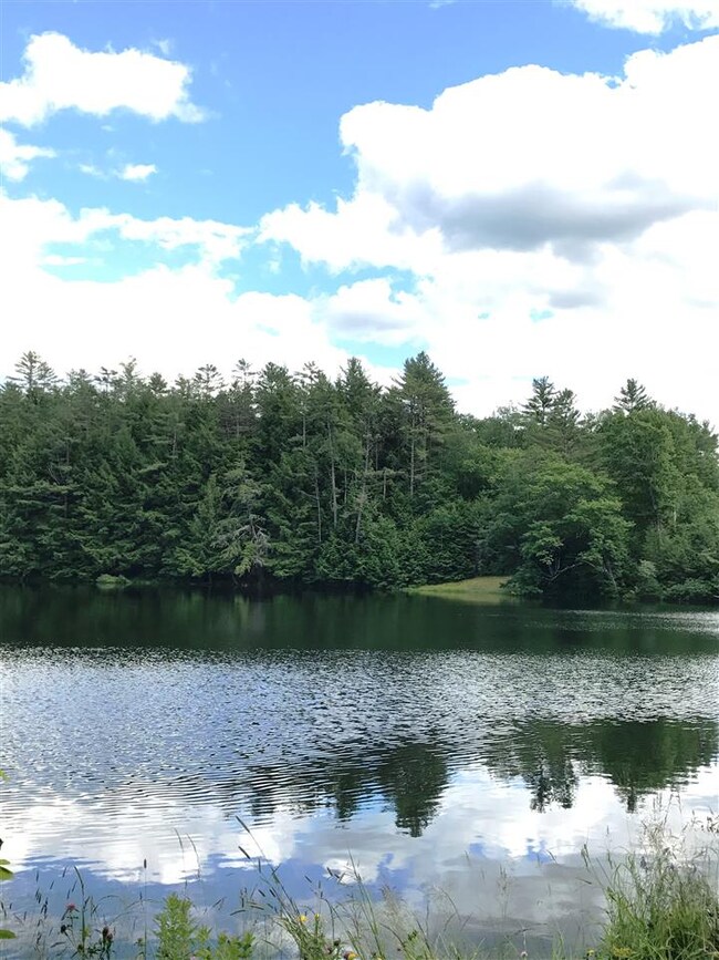 0 Perch Pond Rd unit 4612646, Lisbon, NH 03585 - photo 6