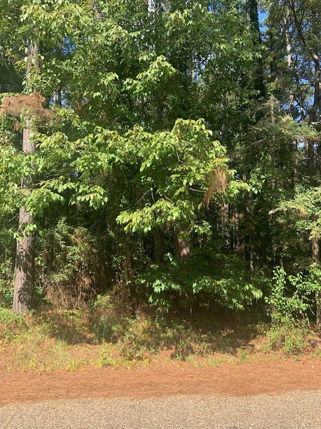 0 Lakeshore unit 200404, Texarkana, TX 75501 - photo 2