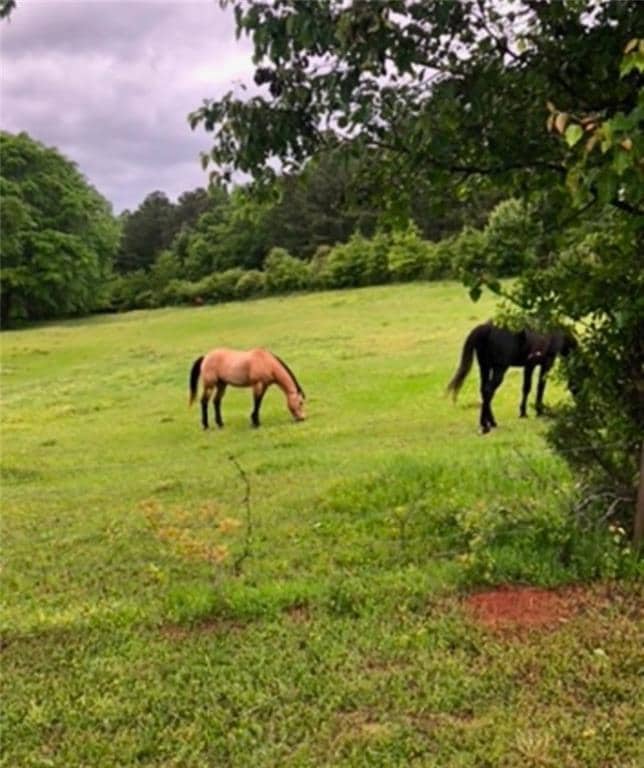 View of home's community with a lawn, a rural view