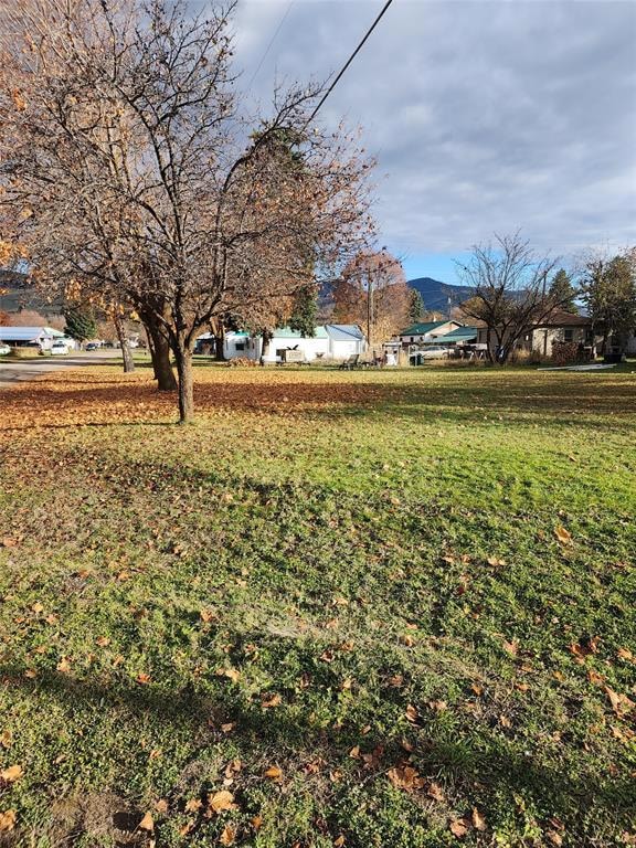 Nhn Third St, Plains, MT 59859 - photo 3