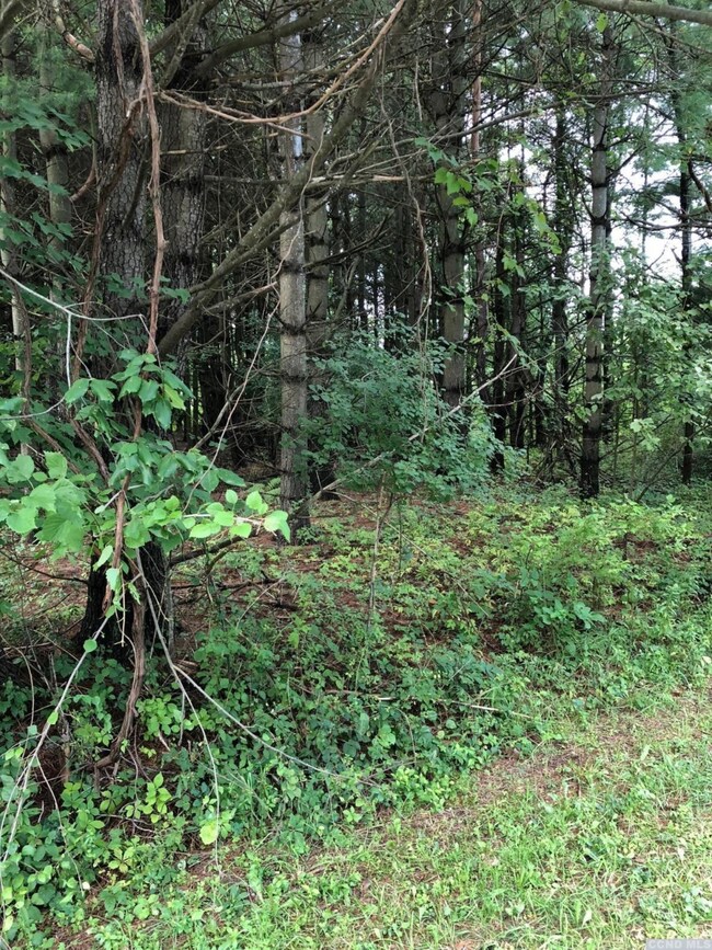 13 - C Sleepy Hollow Rd, Coxsackie, NY 12051 - photo 4