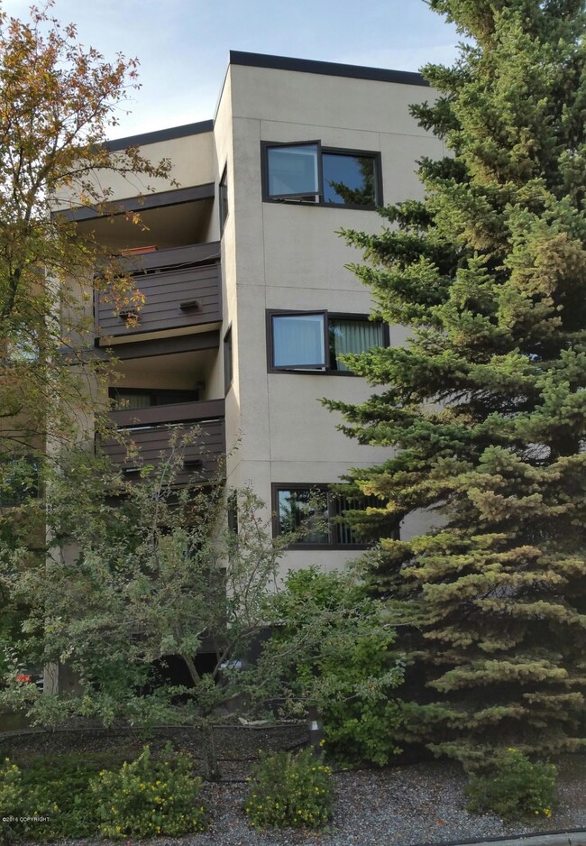 Top Floor 3 Bedroom