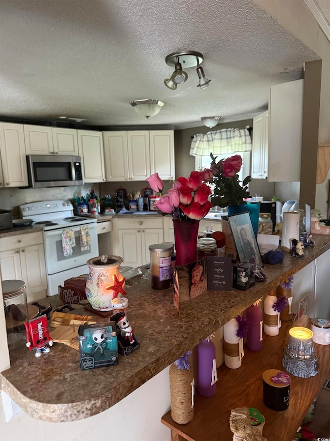 270 Morris Rd, Conway, SC 29526 - photo 5