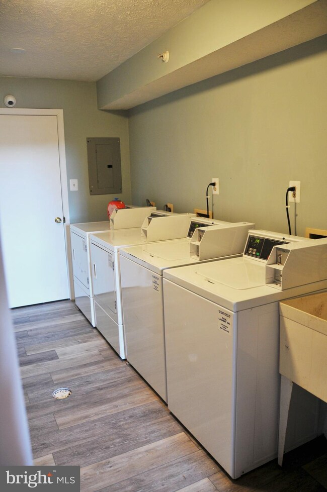 155 Hensel Dr, Shepherdstown, WV 25443 - photo 4