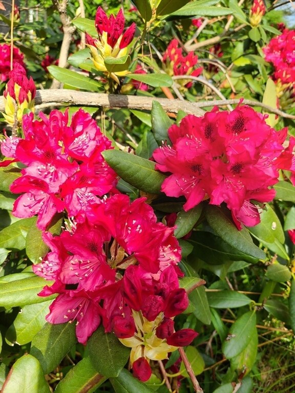 420 Great Rd unit A6, Acton, MA 01720 - photo 6