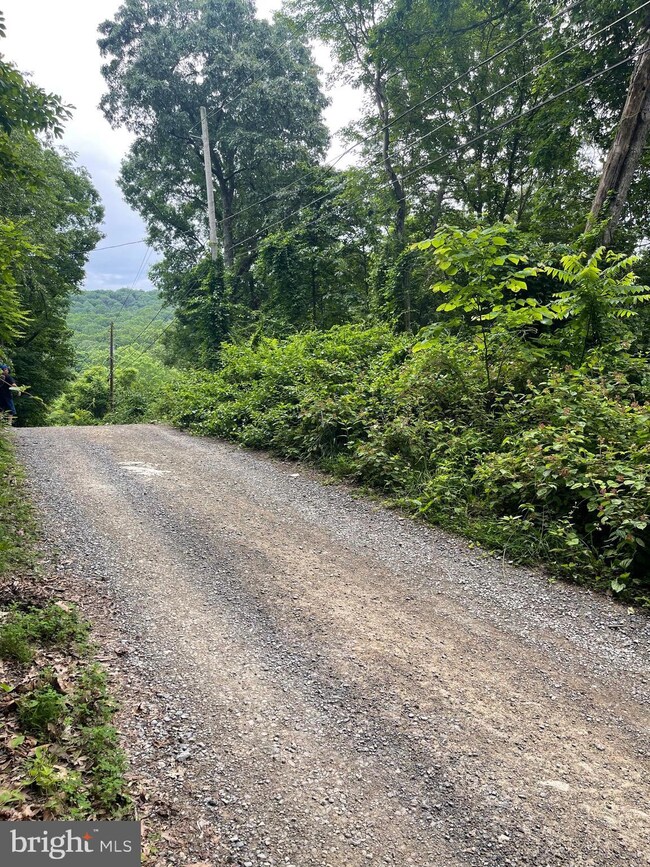 Sect A 16-23 Dogwod Trail, Harpers Ferry, WV 25425 - photo 6