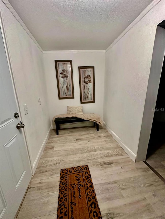 409 SW 2nd Ave, Mulberry, FL 33860 - photo 3