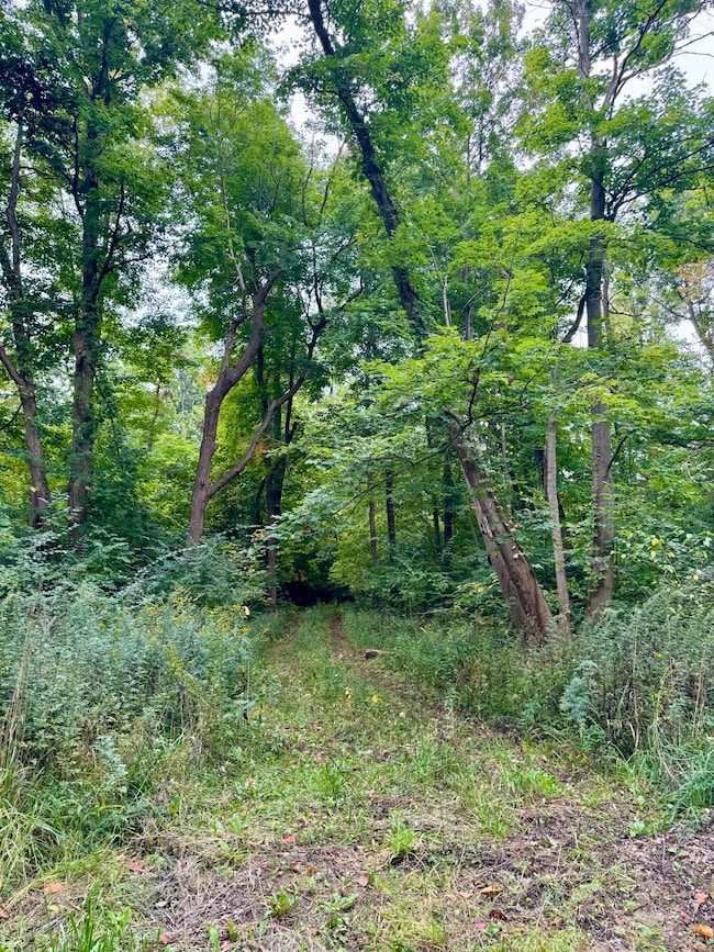 7352 Red Arrow Hwy, Stevensville, MI 49127 - photo 2