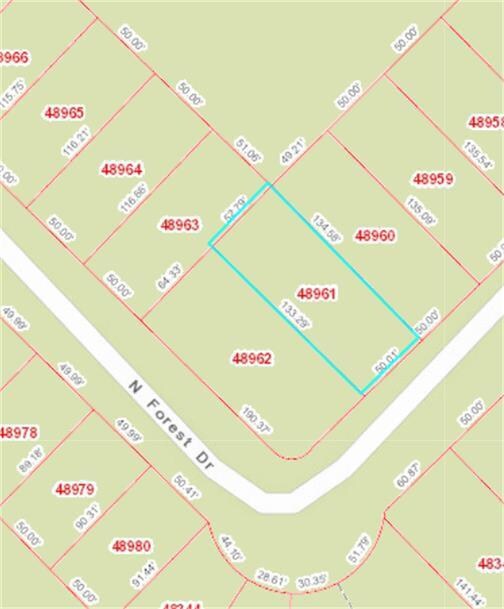 172 N Forest Dr, Huntsville, TX 77340 - photo 5