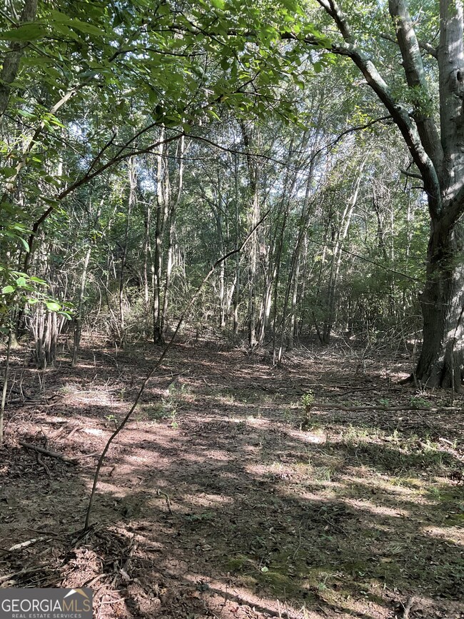 0 Bowers St unit LOT 1-8 10576344, Bowman, GA 30624 - photo 6