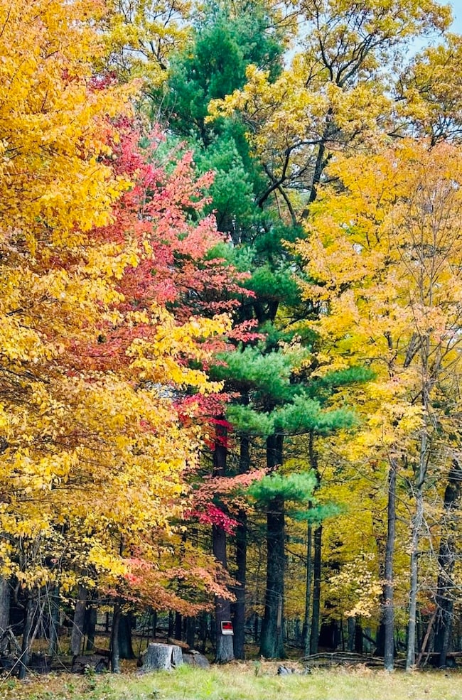 Lot 33 S Badger Ln, Monroe, WI 54613 - photo 3