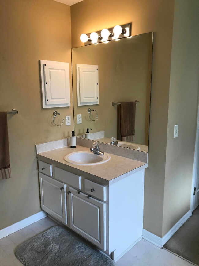 Master Bath Sink 2