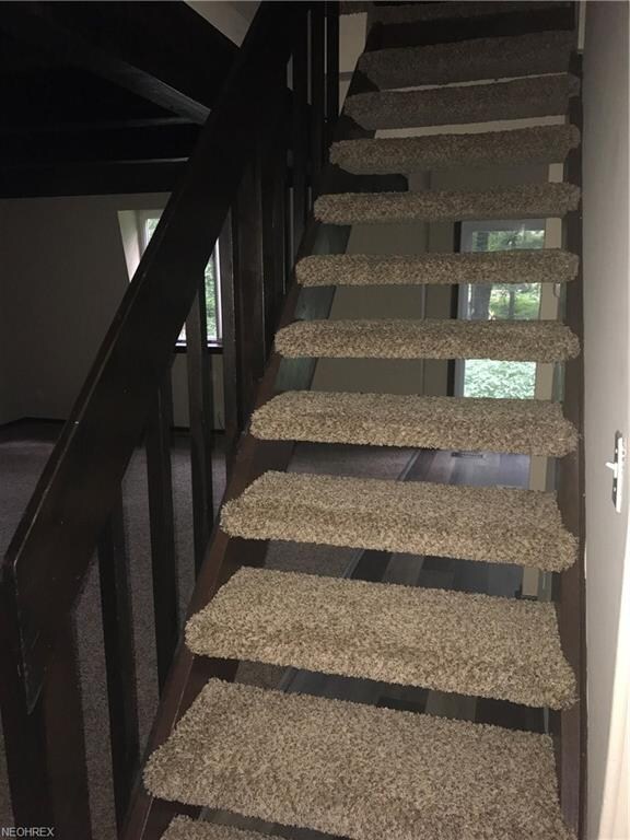 New carpet on stairs!