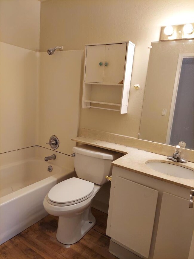 Hall bathroom