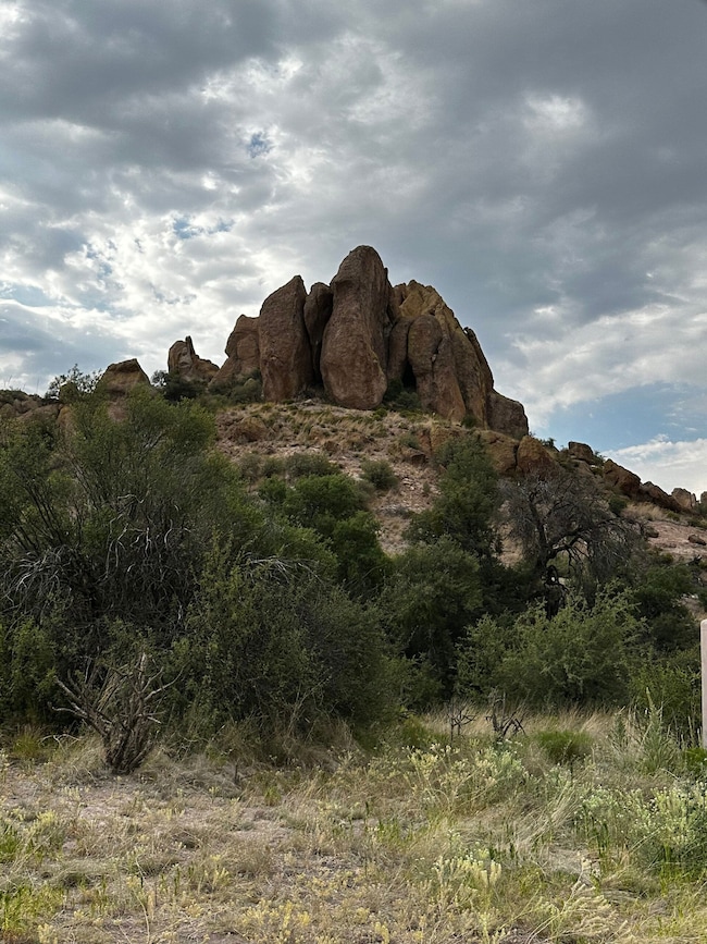 0 Xx C Bar Ranch Rd unit 17145279, Silver City, NM 88061 - photo 6