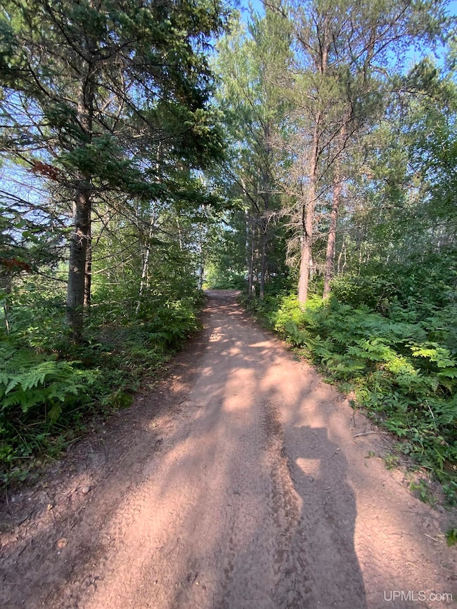 1591 Millyard Rd, Gwinn, MI 49841 - photo 7