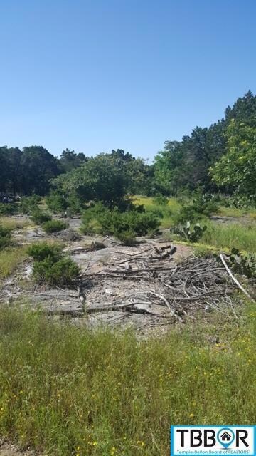 15957 Brazos Dr, Temple, TX 76502 - photo 3