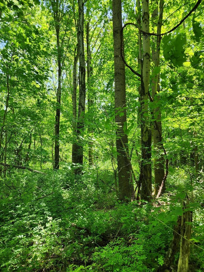 0 Co Road 800 unit 199206, Milan, IN 47031 - photo 4