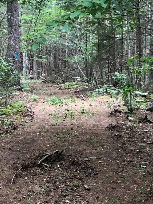 0 Mountain Rd unit 429  Lot 4 4944262, Newbury, NH 03255 - photo 5