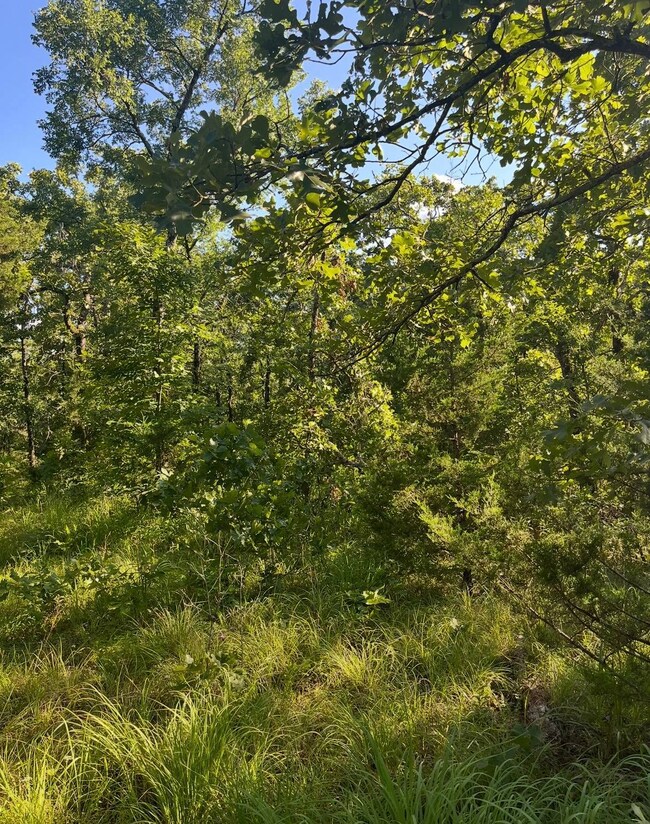 Tract 9B SE 1083 Road Ave, Red Oak, OK 74563 - photo 4