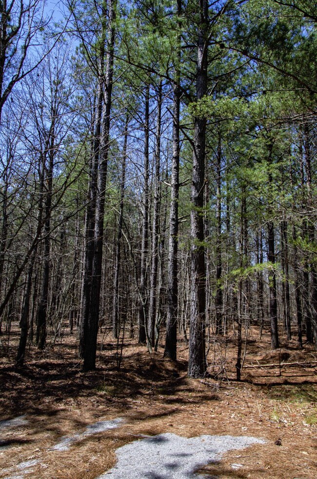0 Country Side Ln Lot #51 unit RTC2424319, Spencer, TN 38585 - photo 6