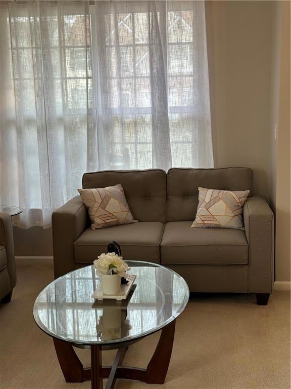 Living room featuring light carpet