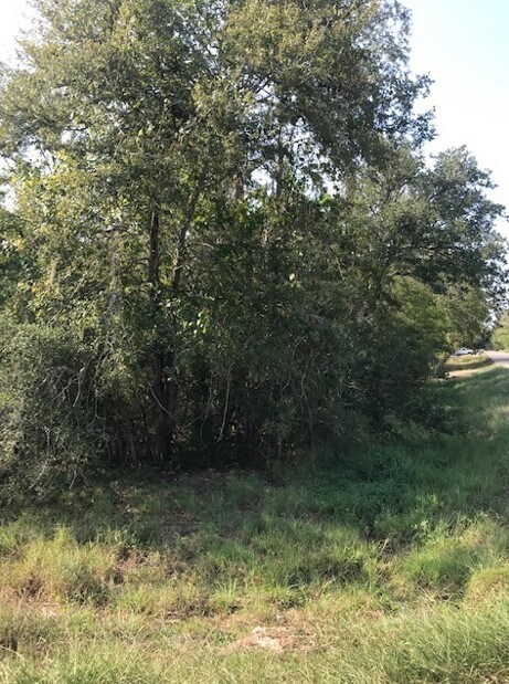 0 Leperchaun Ln, Brazoria, TX 77422 - photo 5