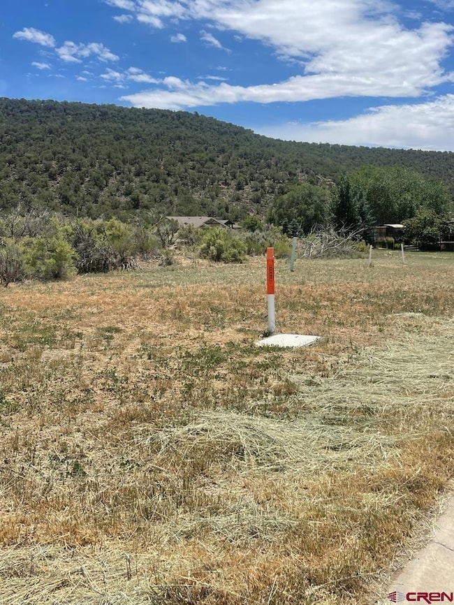 745 SE Pinyon St, Cedaredge, CO 81413 - photo 3