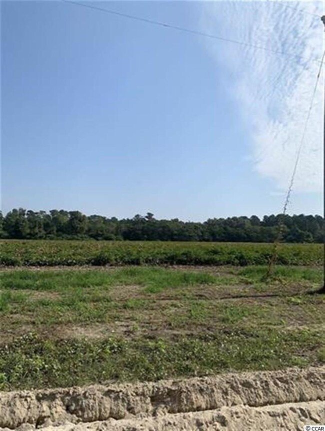 TBD Jamie Rd unit Tract E, Aynor, SC 29511 - photo 6