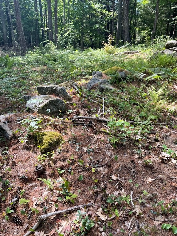 0 Rindge Turnpike, Ashburnham, MA 01430 - photo 4