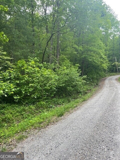 0 Mccormick Dr unit 10509566, Dawsonville, GA 30534 - photo 3