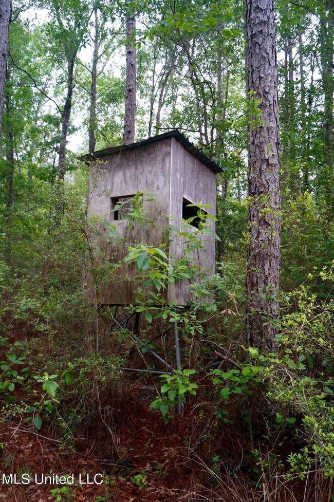 181 Jub Hickman Rd, Perkinston, MS 39573 - photo 7