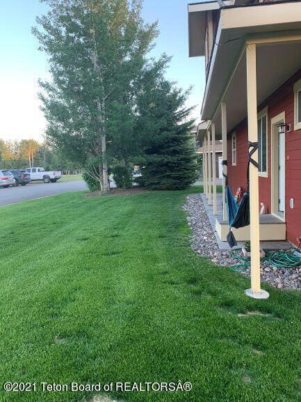 East sideyard