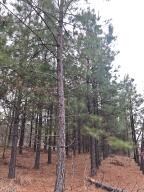 0 Lot 11 Nc 1502 unit H141177, Compton, AR 72624 - photo 6