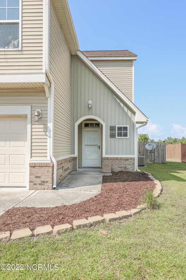 426 Bald Cypress-03