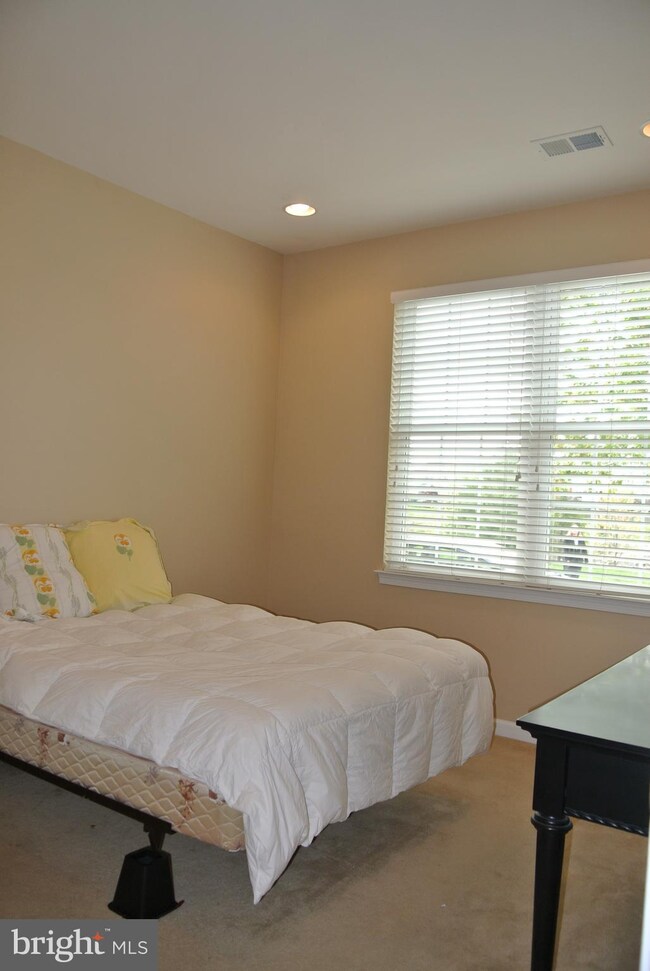 25296 Shipley Terrace, Chantilly, VA 20152 - photo 5