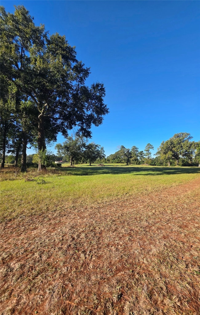 860 Easy Street Rd, Livingston, TX 77351 - photo 3