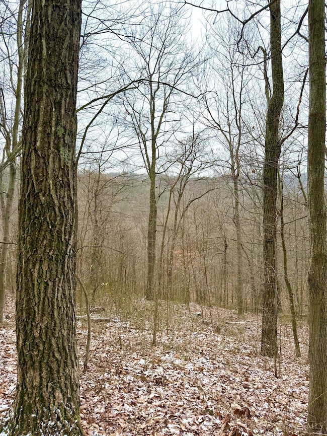 0 Golley Rd unit 1864016, Jefferson Township, OH 45657 - photo 7