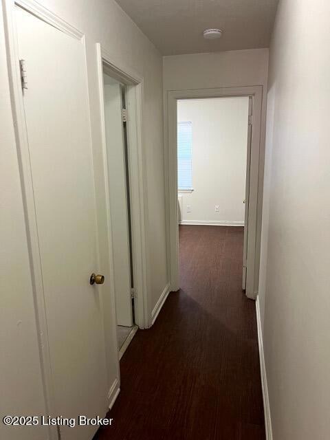 142 Woodmore Ave unit 2, Louisville, KY 40214 - photo 4