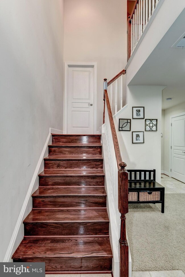 3309 Kemper Rd, Arlington, VA 22206 - photo 7