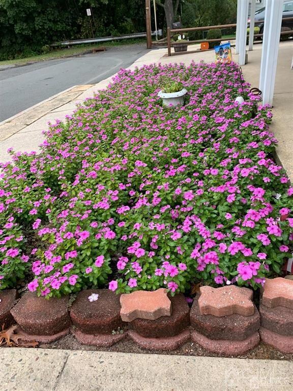 323 Elm St, South Amboy, NJ 08879 - photo 5