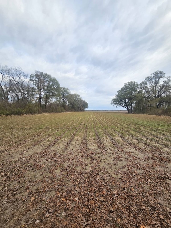 001 Cr 532, Avalon, MS 38917 - photo 3