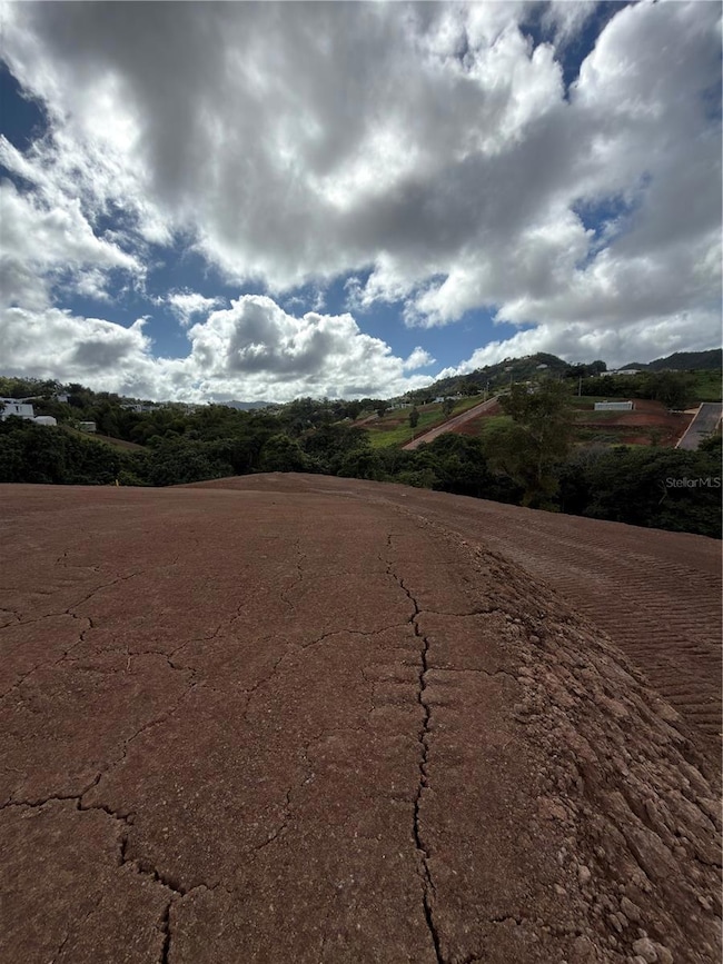 0 Carr 155 Km 31 2 Int Bo Barros unit Lote 3, Orocovis, PR 00720 - photo 3